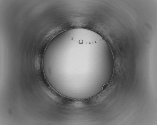 X0000113170114200909041330