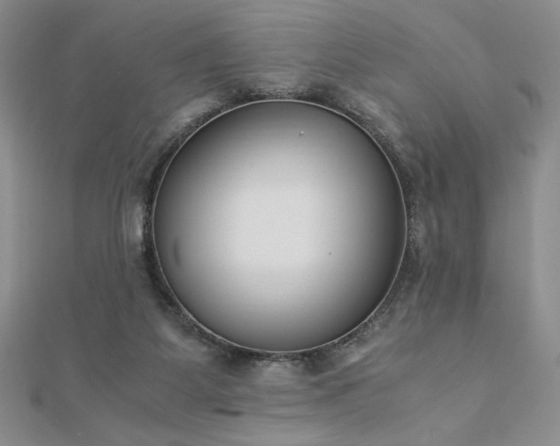 X0000113170115200909041330