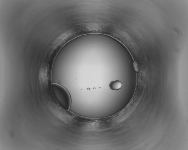 X0000113170116200909041330