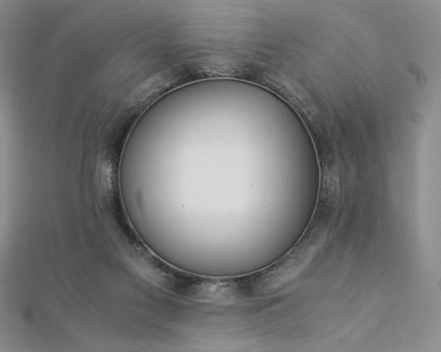 X0000113170117200909041330