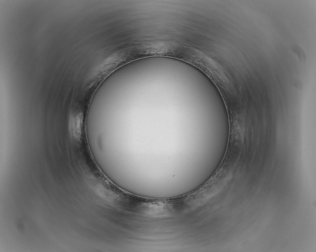 X0000113170118200909041330