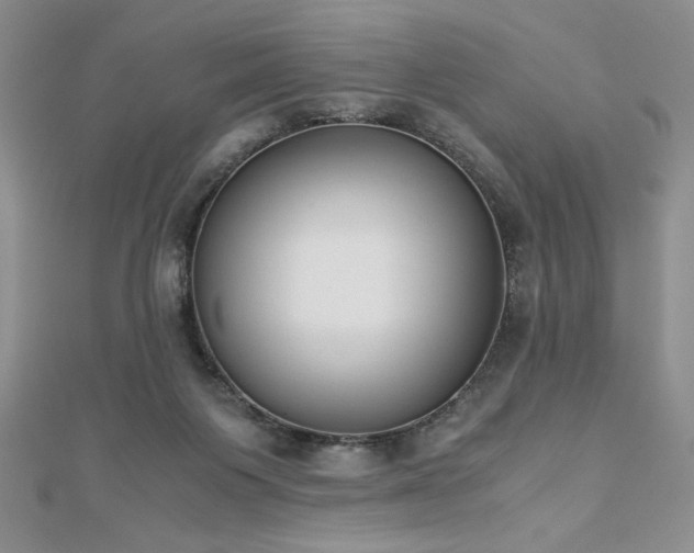 X0000113170119200909041330