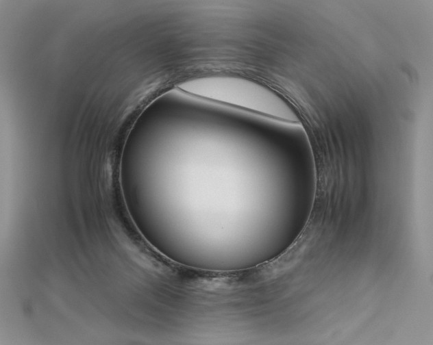 X0000113170120200909041330