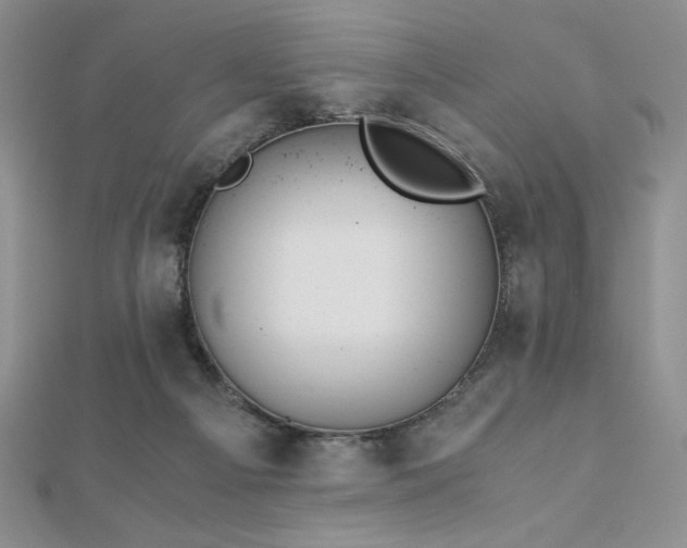X0000113170121200909041330