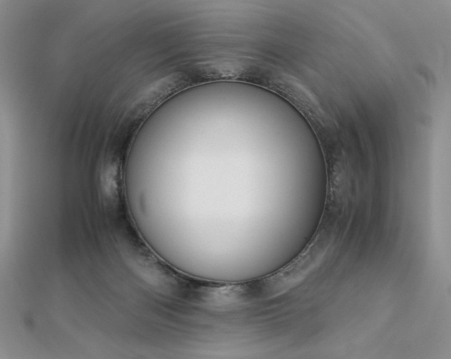 X0000113170122200909041330