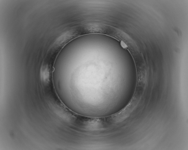 X0000113170124200909041330