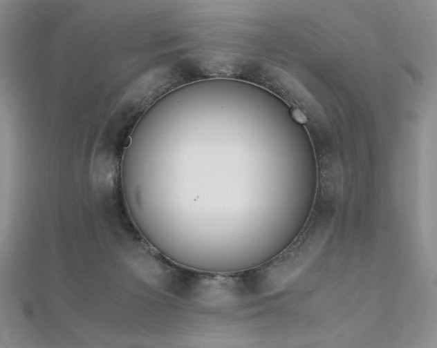 X0000113170125200909041330