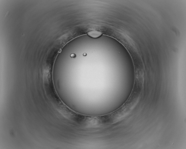 X0000113170127200909041330