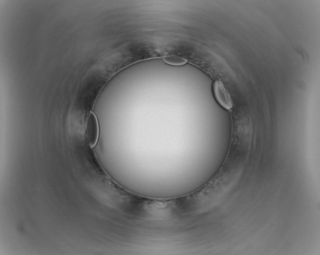 X0000113170129200909041330