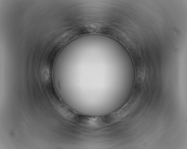 X0000113170130200909041330