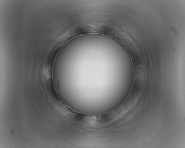 X0000113170131200909041330