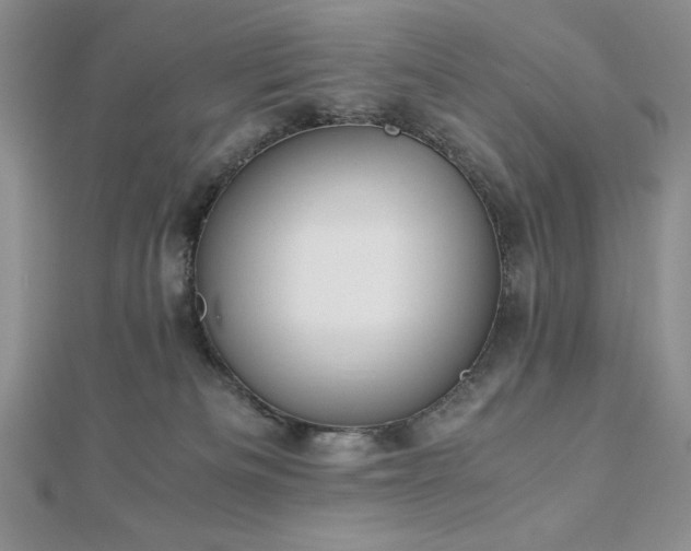 X0000113170133200909041330