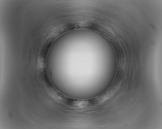 X0000113170135200909041330