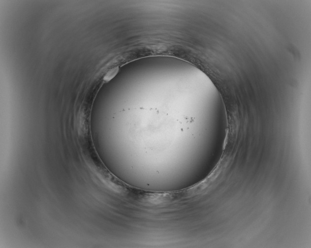 X0000113170136200909041330
