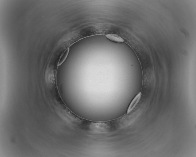 X0000113170137200909041330