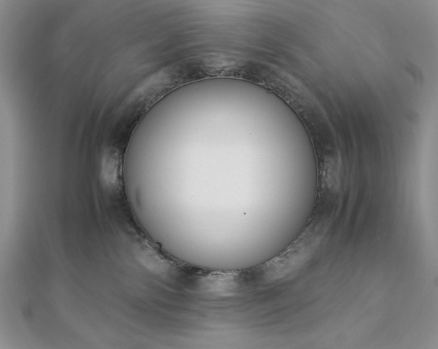 X0000113170138200909041330