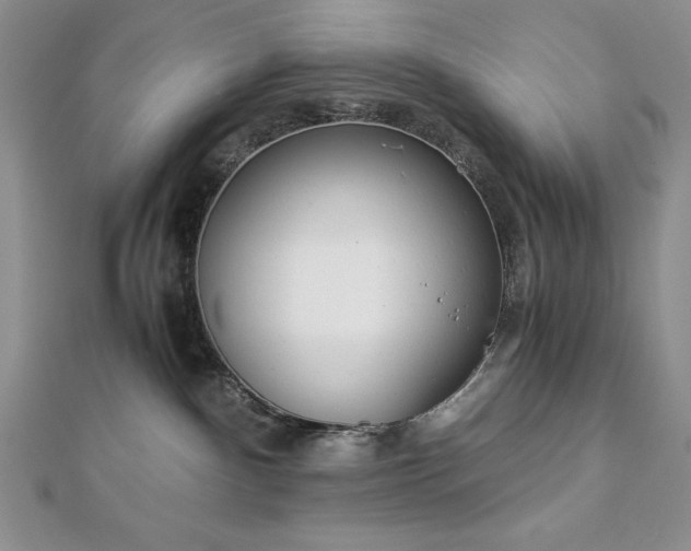 X0000113170140200909041330