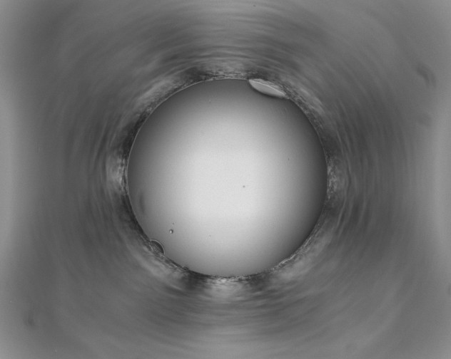 X0000113170141200909041330
