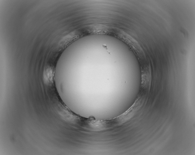 X0000113170142200909041330
