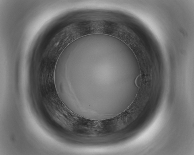 X0000113170143200909041330
