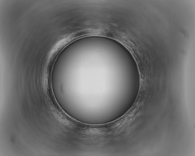 X0000113170149200909041329