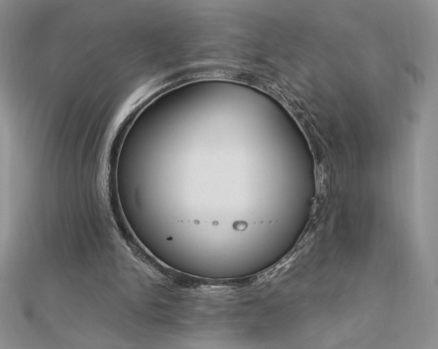 X0000113170150200909041329