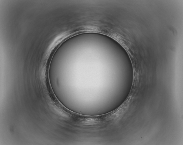 X0000113170151200909041329