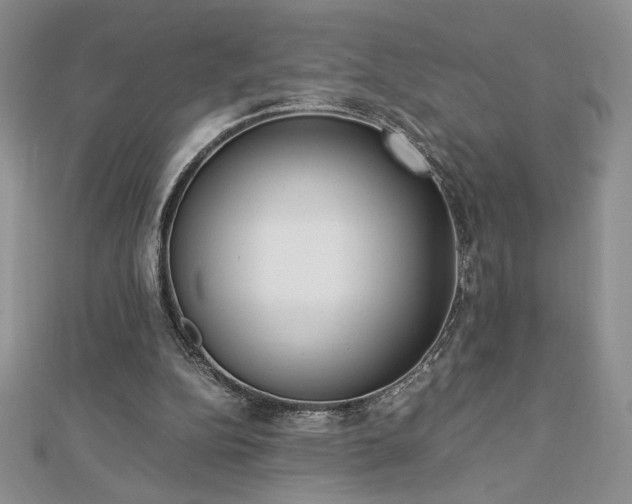 X0000113170152200909041329