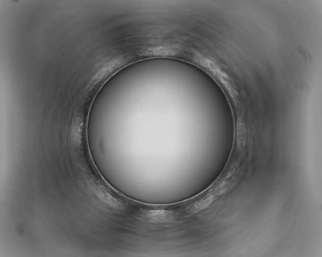 X0000113170153200909041329
