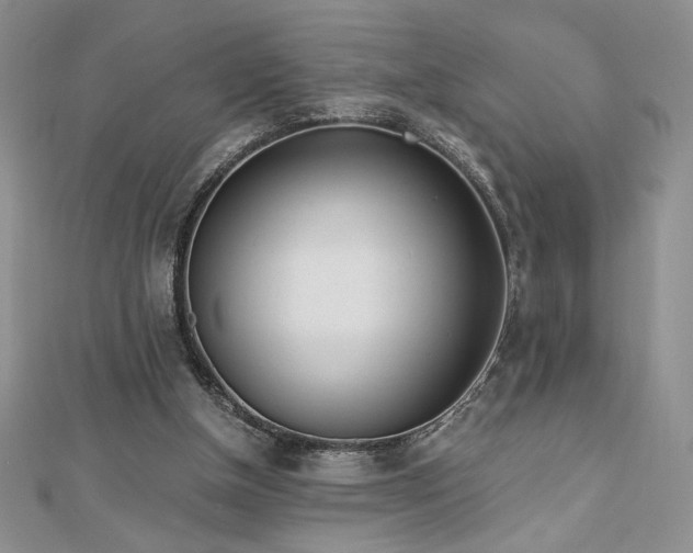 X0000113170154200909041329