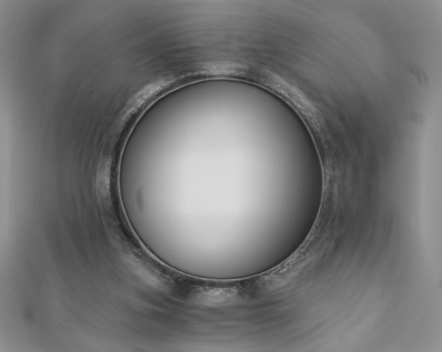 X0000113170155200909041329