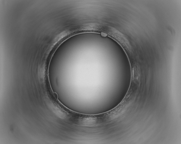 X0000113170156200909041329