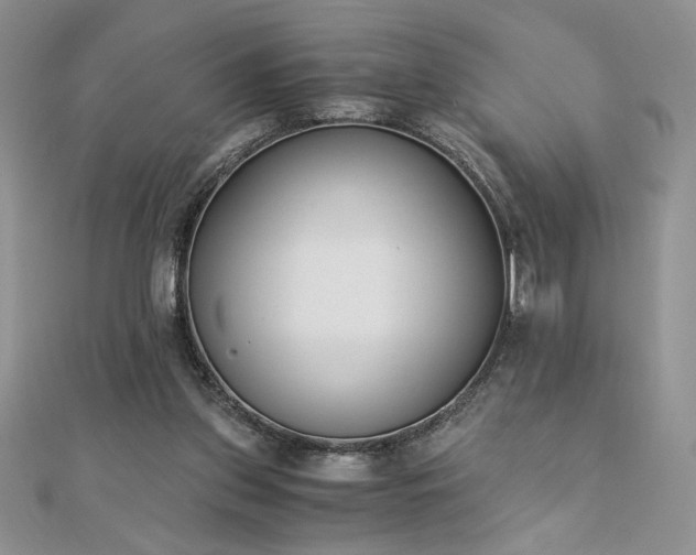 X0000113170157200909041329