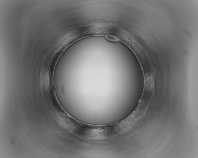 X0000113170158200909041329