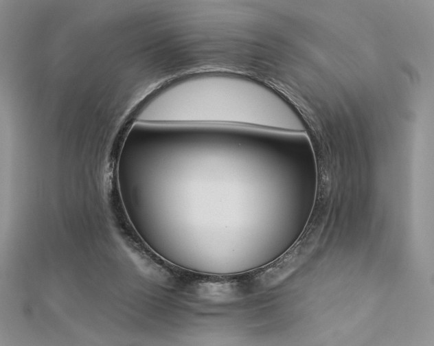 X0000113170160200909041329