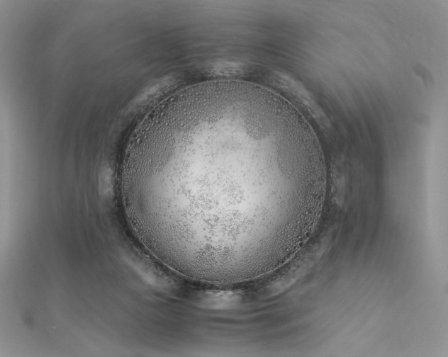X0000113170161200909041329