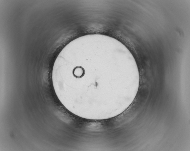 X0000113170162200909041329