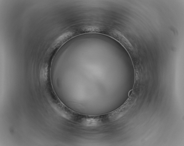 X0000113170163200909041329