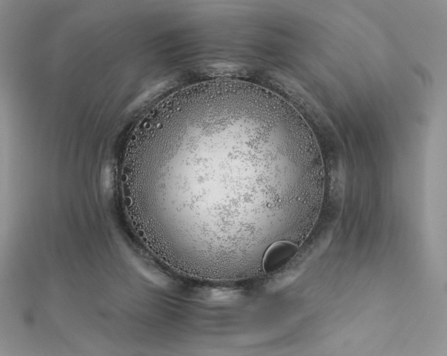 X0000113170165200909041329