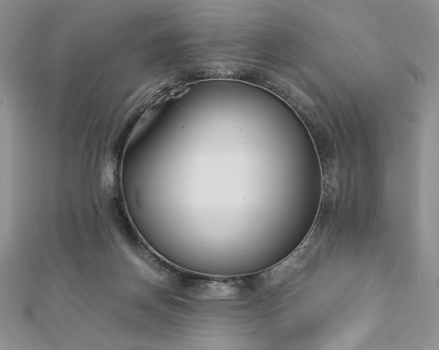 X0000113170166200909041329