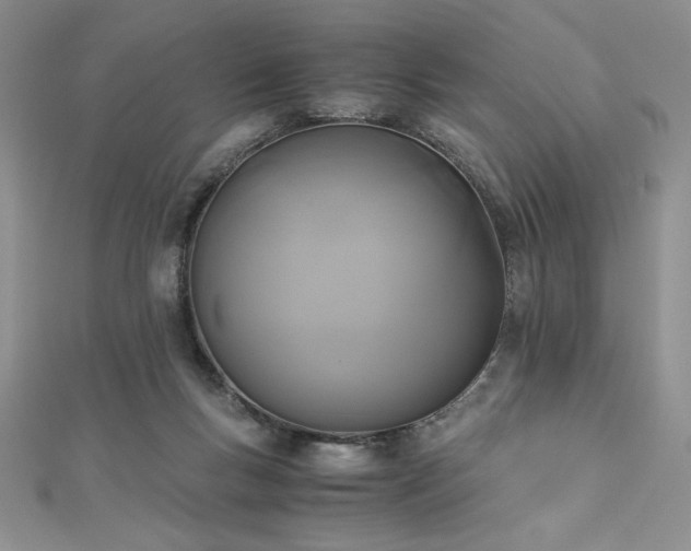 X0000113170167200909041329