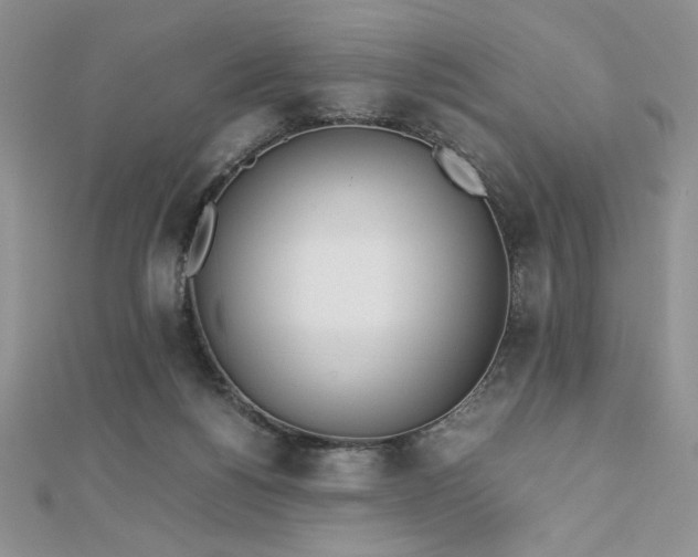 X0000113170168200909041329
