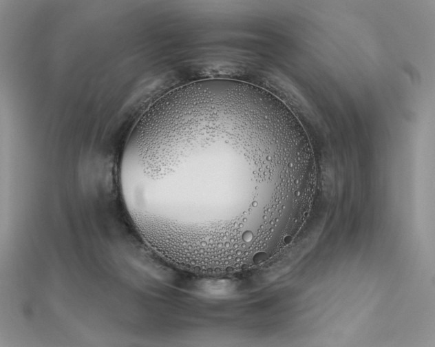X0000113170169200909041329