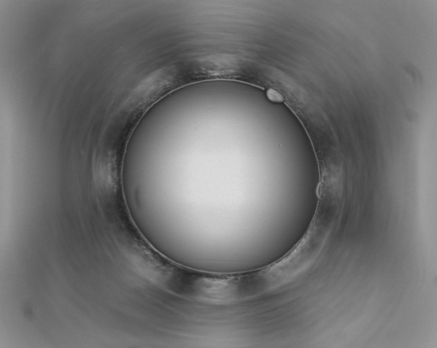 X0000113170170200909041329