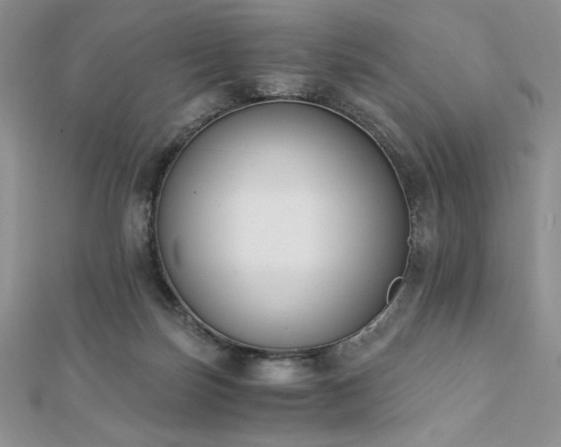 X0000113170171200909041329