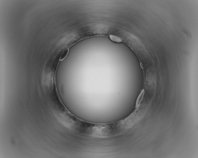 X0000113170172200909041329