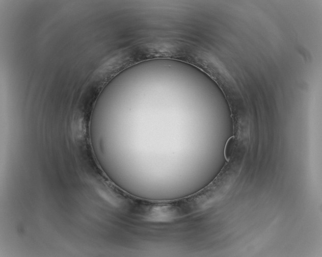 X0000113170173200909041329