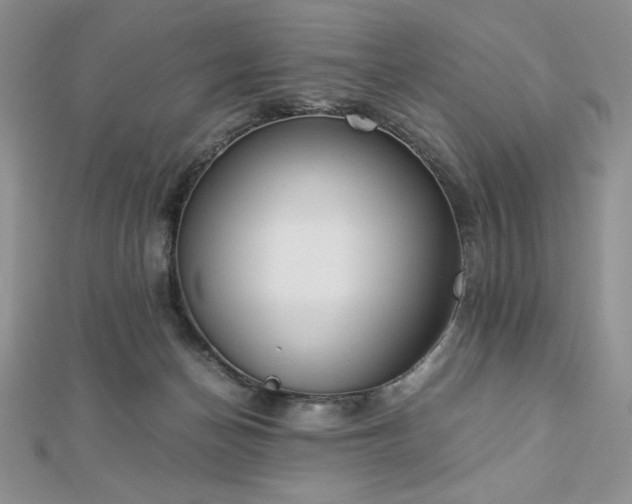 X0000113170174200909041329