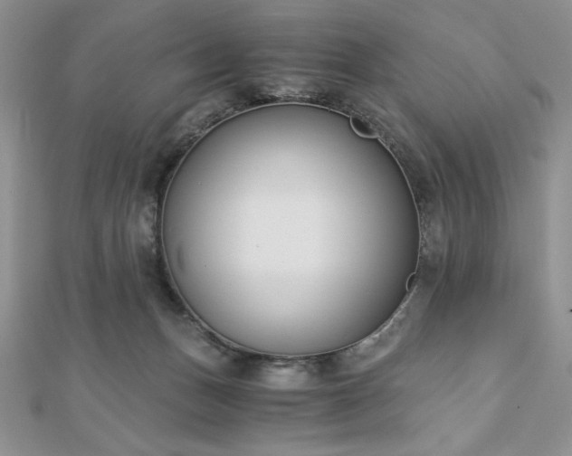 X0000113170175200909041329