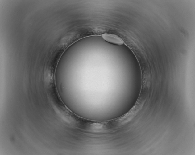 X0000113170176200909041329